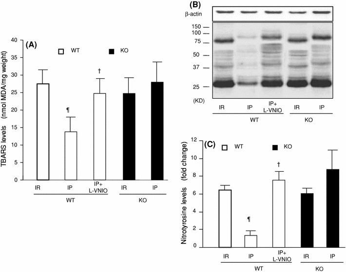 Fig. 6