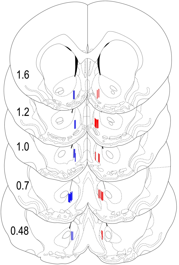 Figure 8