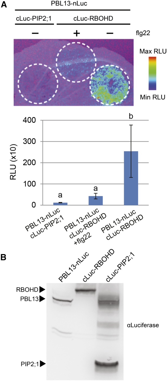 Figure 6.