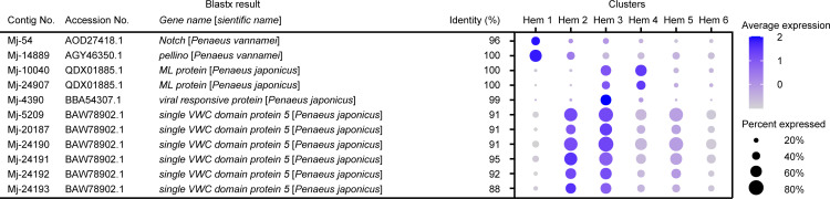 Figure 8—figure supplement 6.