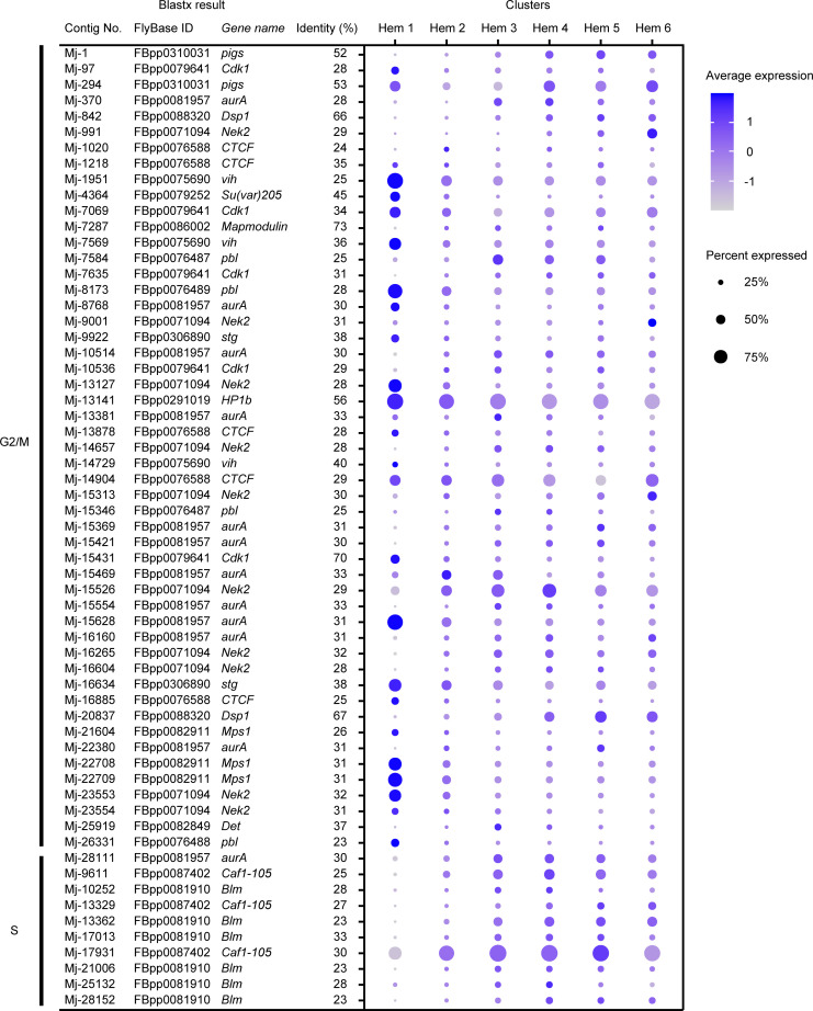 Figure 5—figure supplement 2.