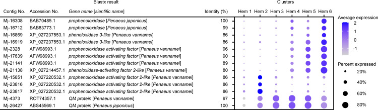 Figure 8—figure supplement 3.