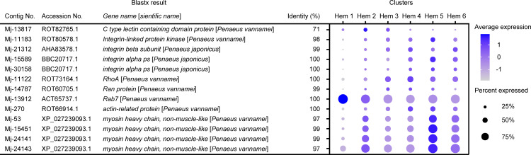 Figure 8—figure supplement 4.