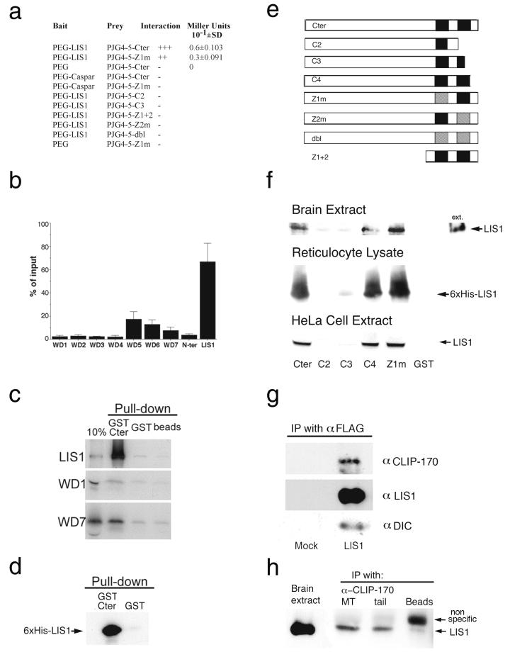 FIG. 2.