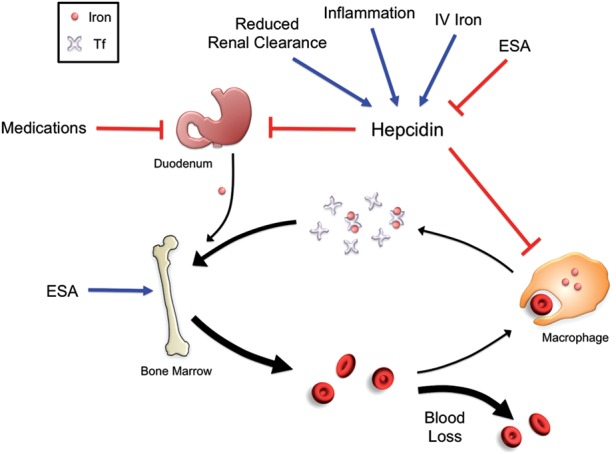 FIGURE 4: