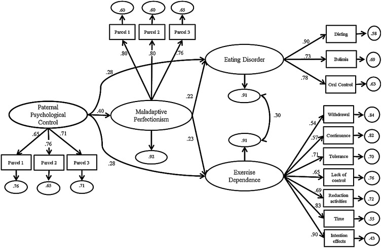 Figure 2.