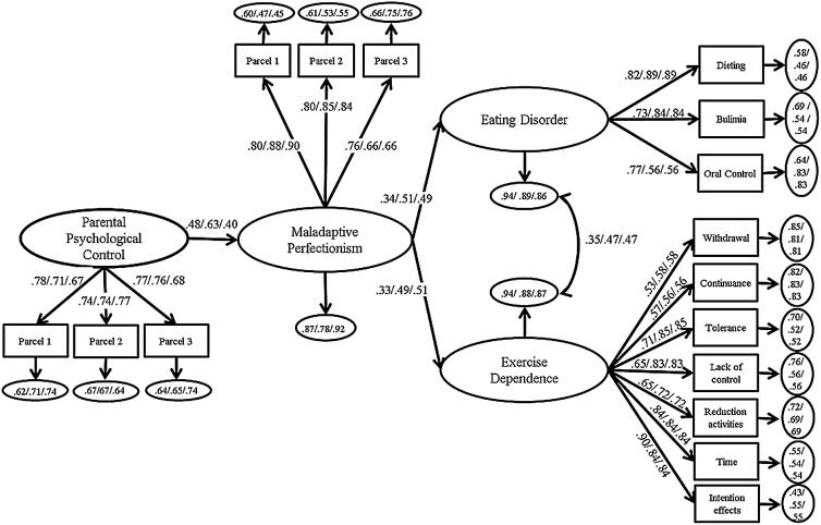 Figure 1.