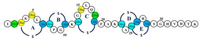 graphic file with name pharmaceutics-14-00076-i011.jpg