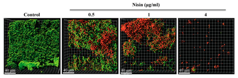 Figure 14