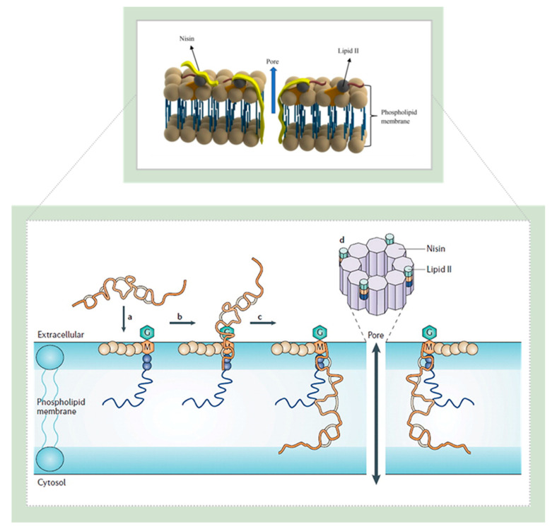 Figure 10