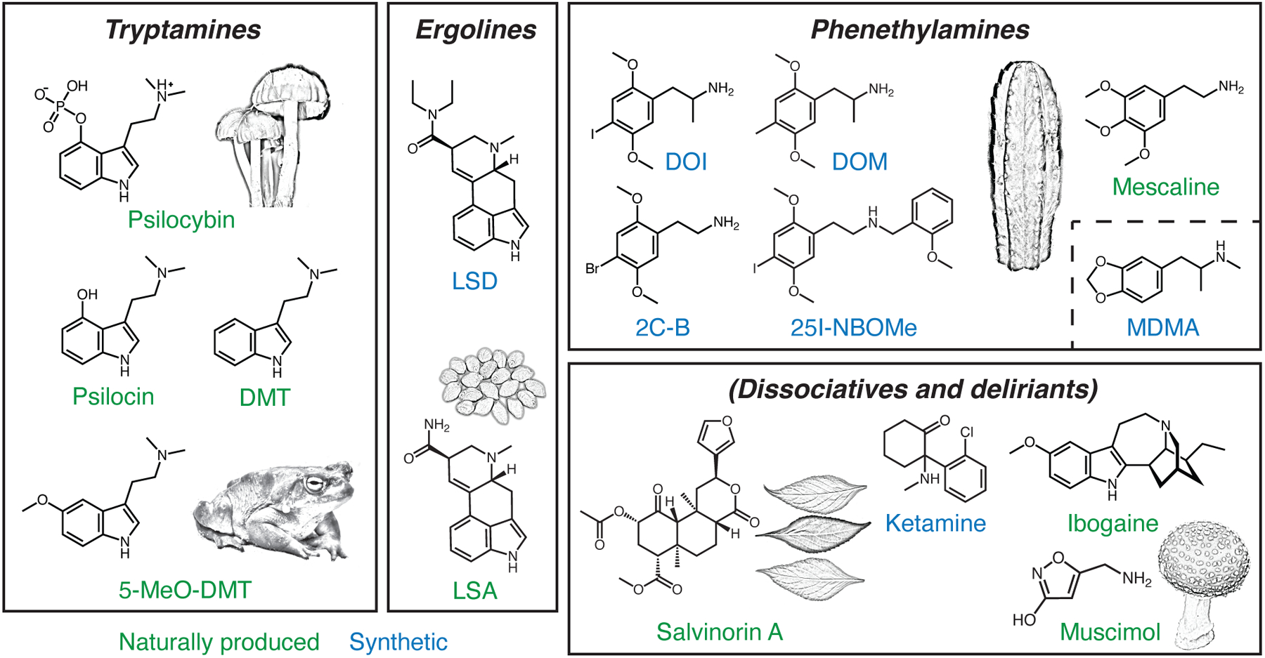 Figure 1: