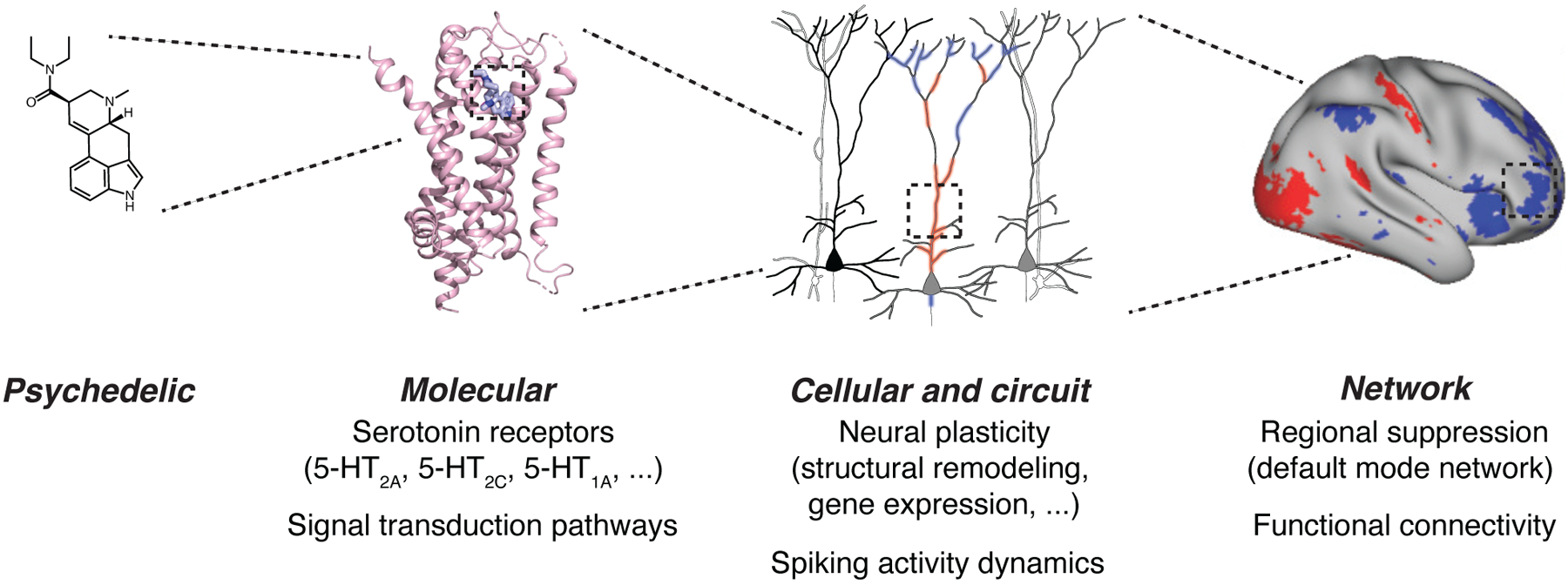 Figure 2: