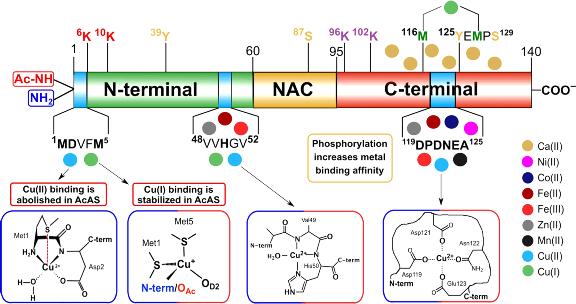 Figure 28.