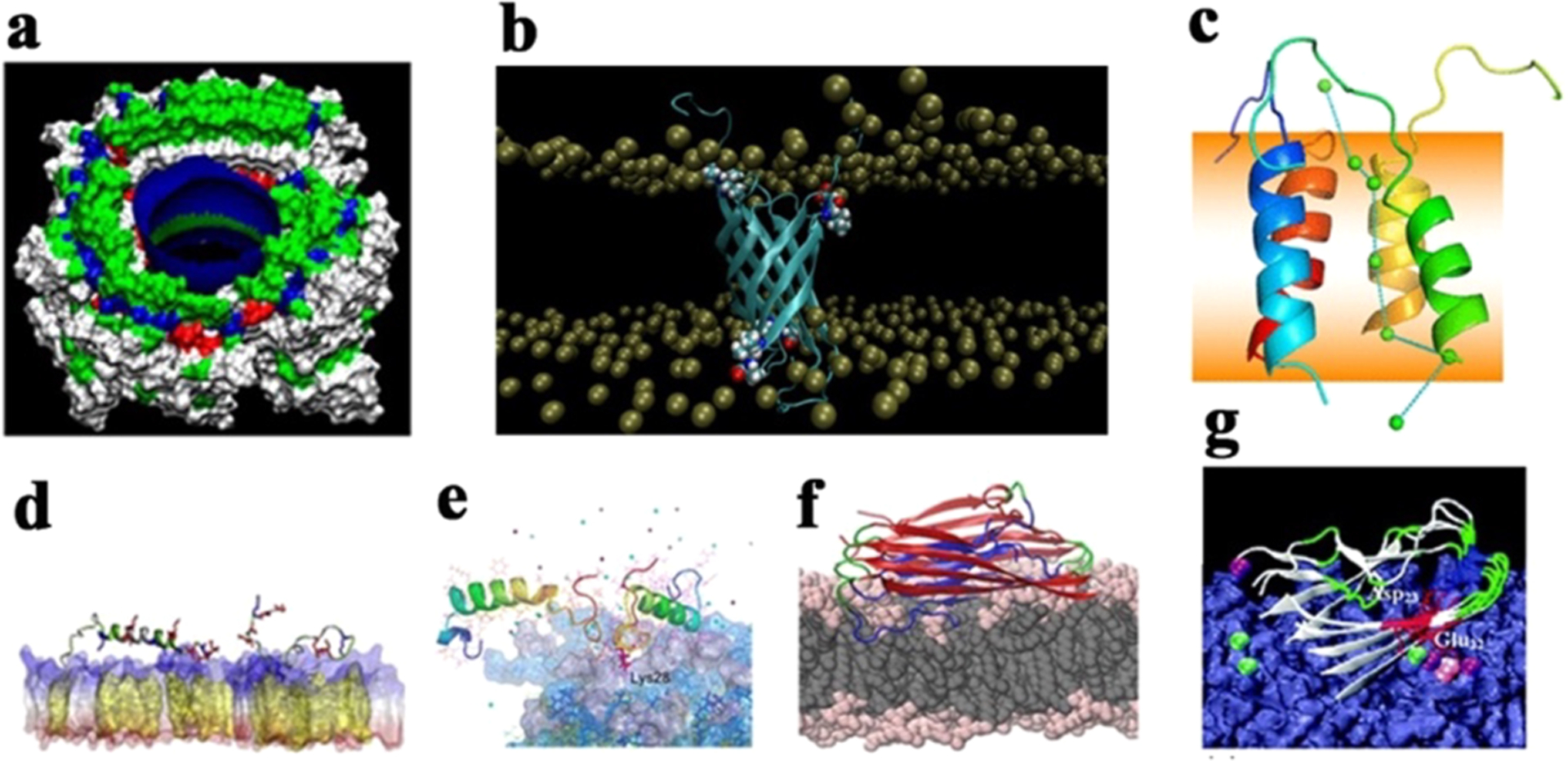 Figure 19.