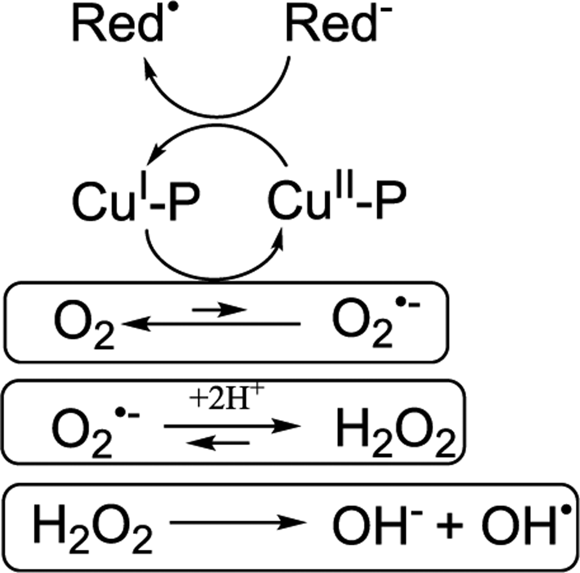 Figure 25.