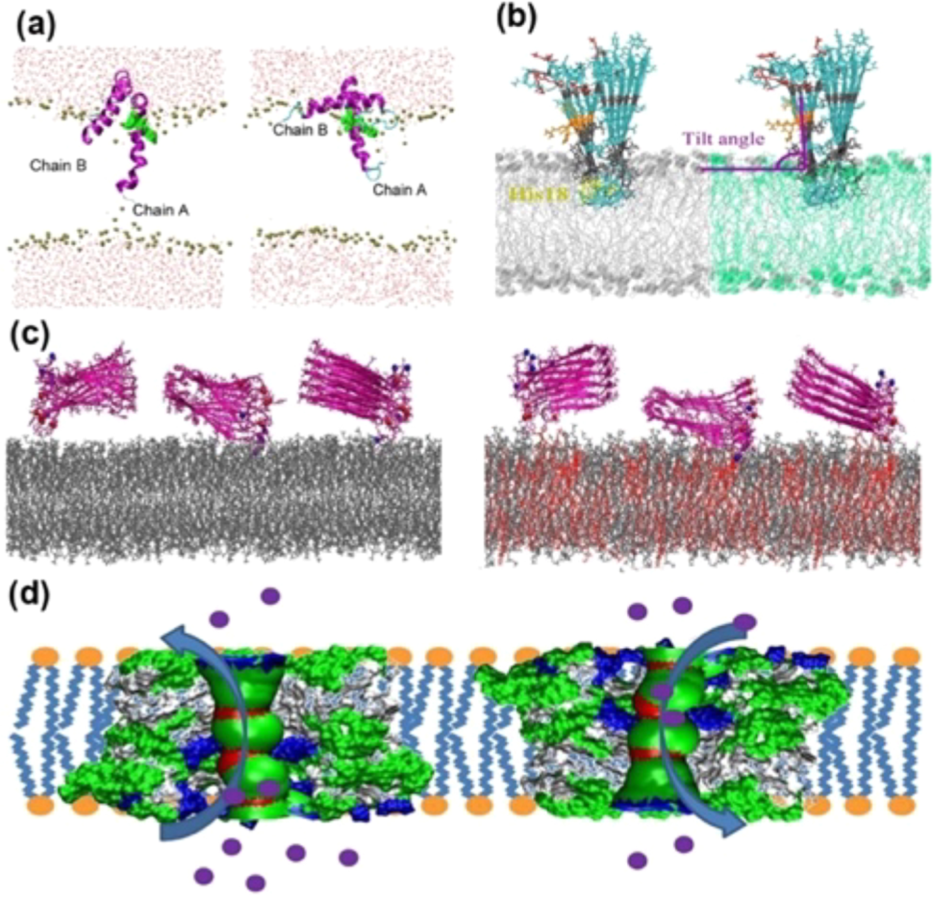 Figure 21.