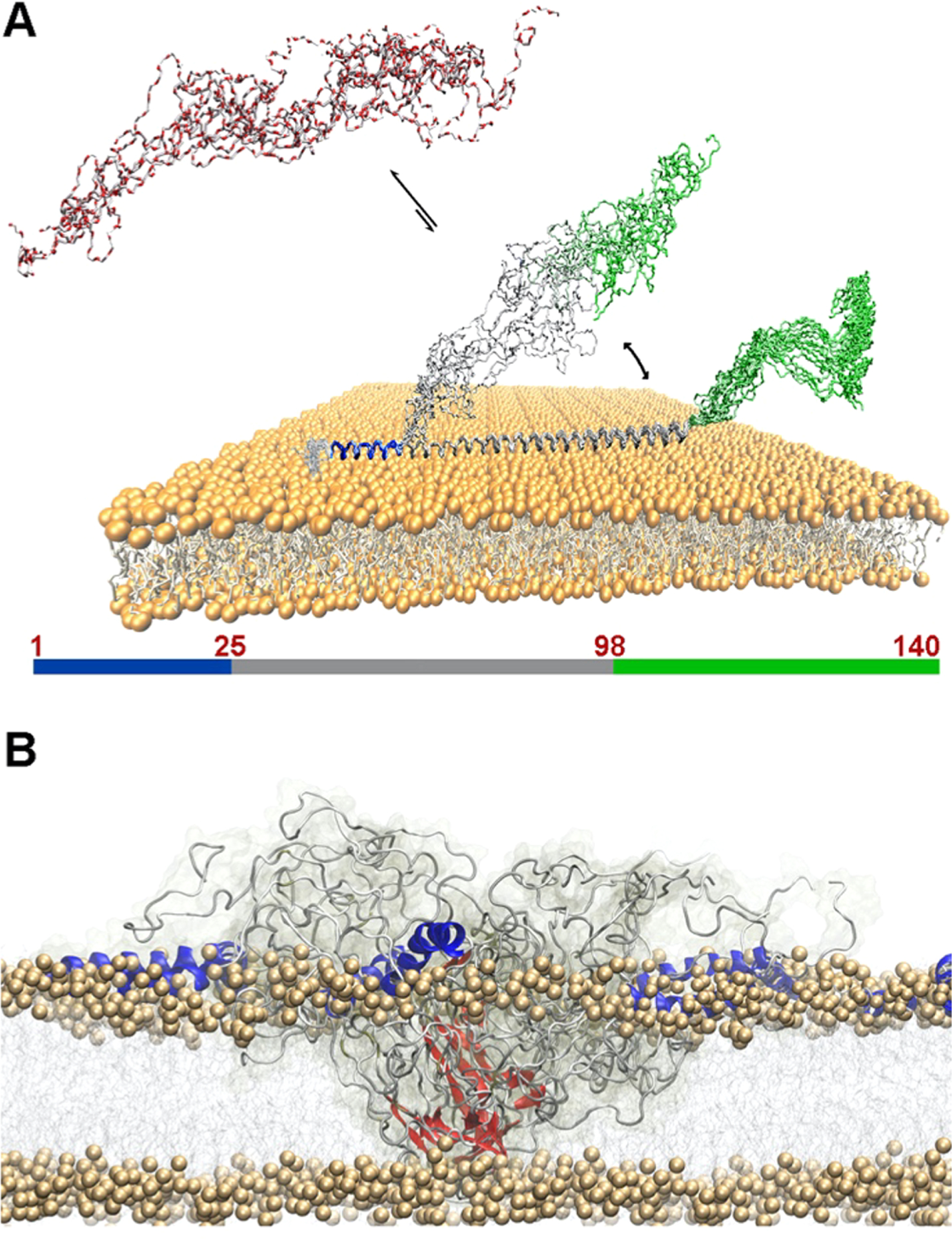 Figure 23.