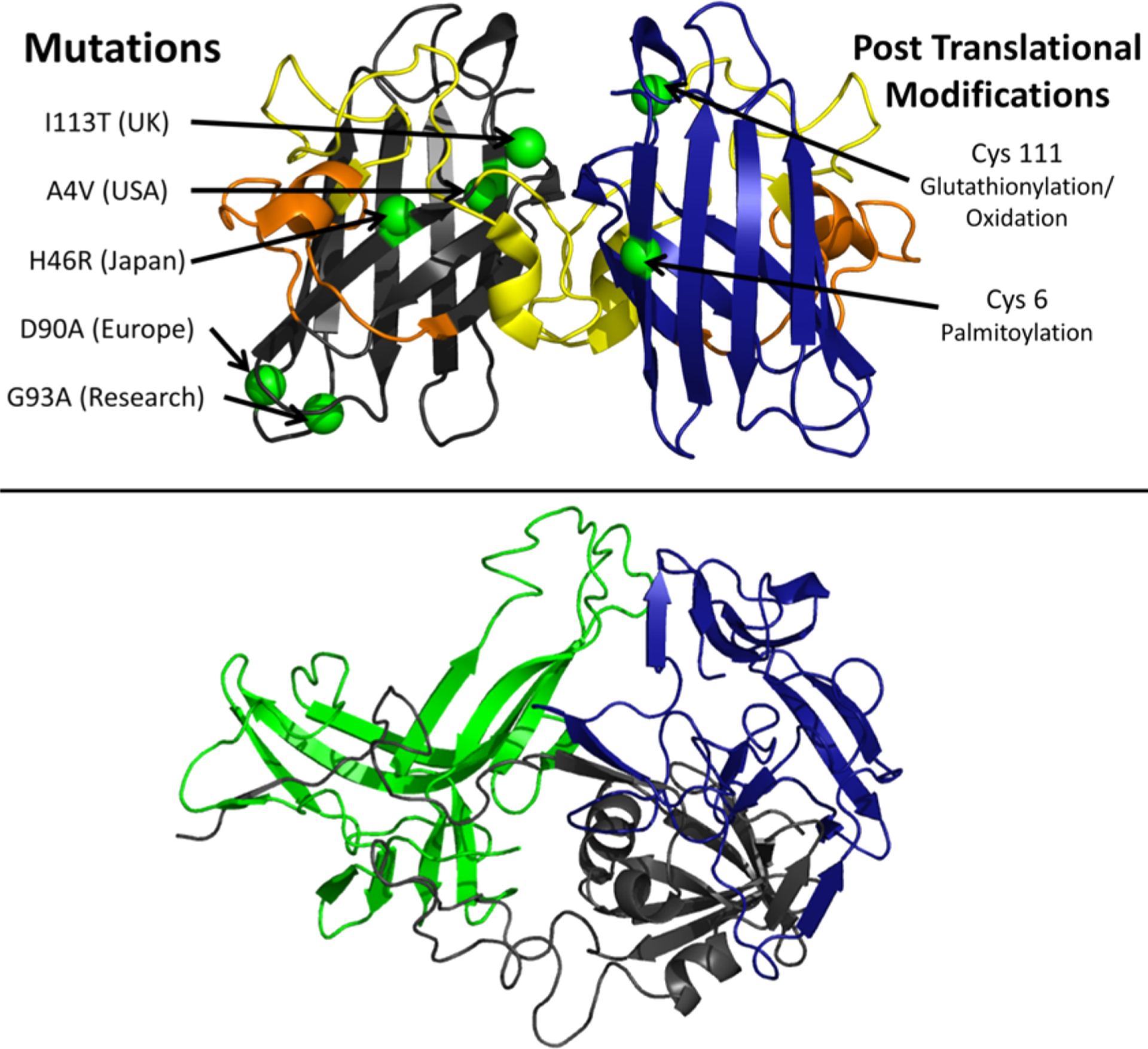 Figure 29.