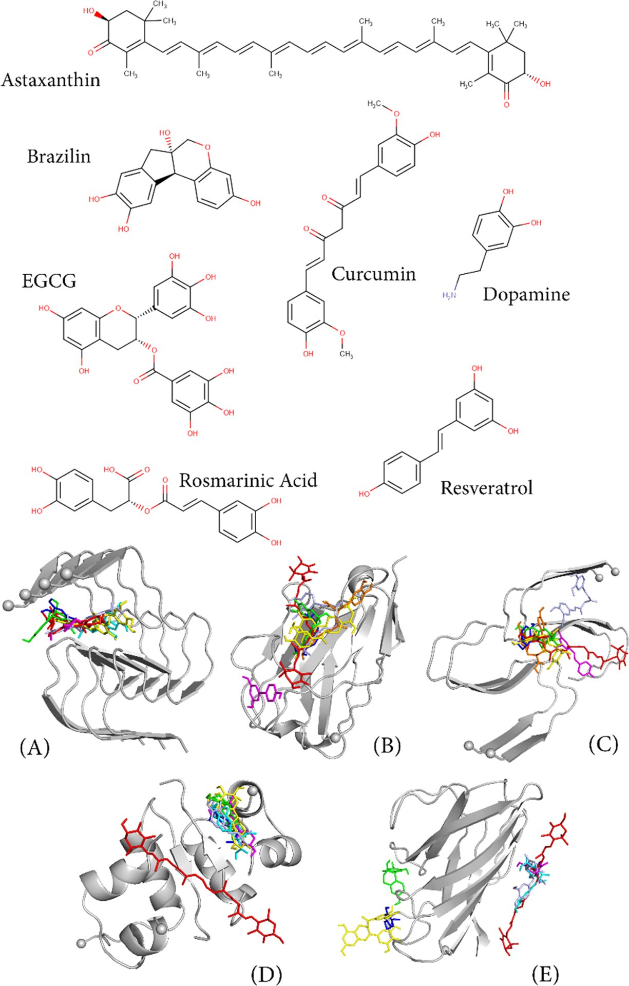 Figure 31.