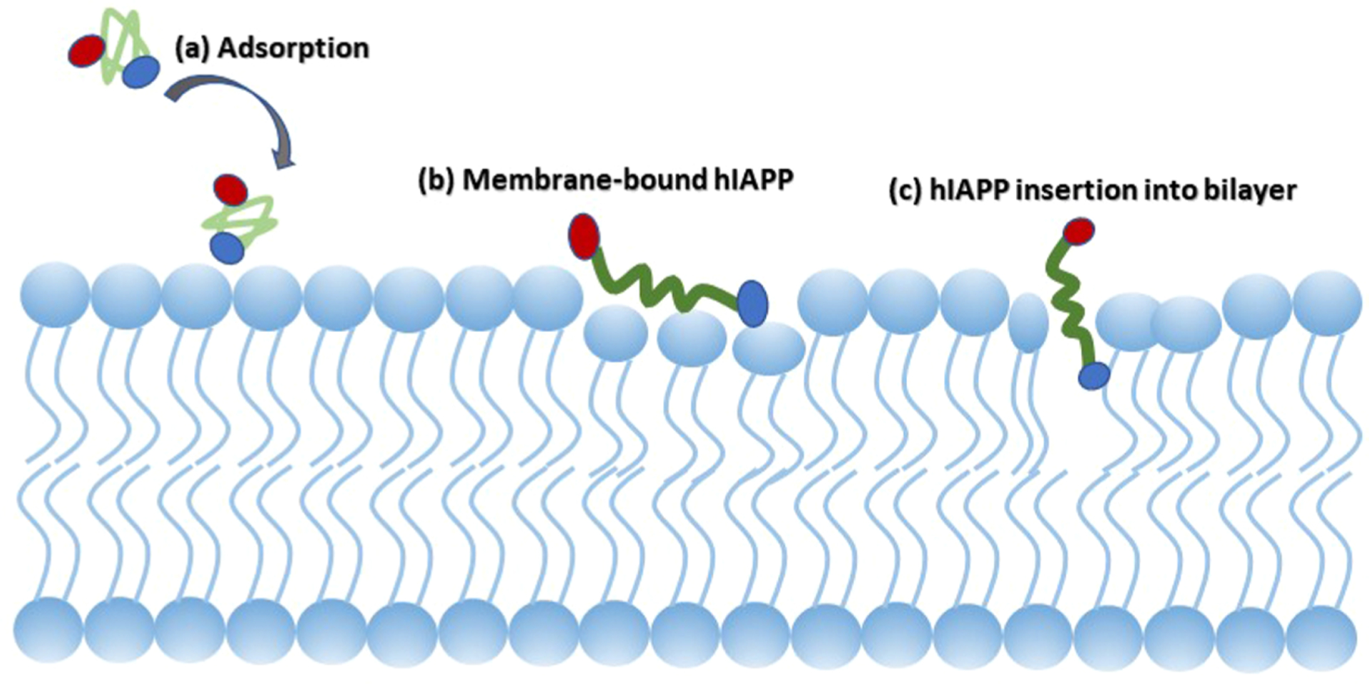 Figure 20.