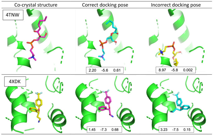 Figure 8