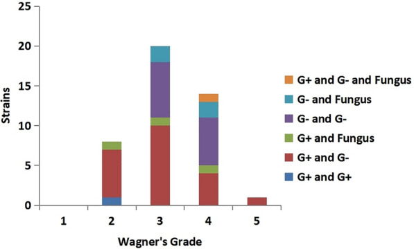 Fig. 3