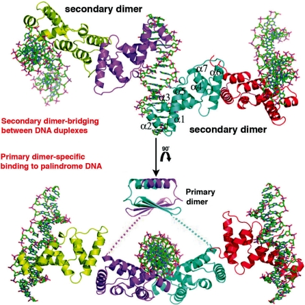 Figure 3.