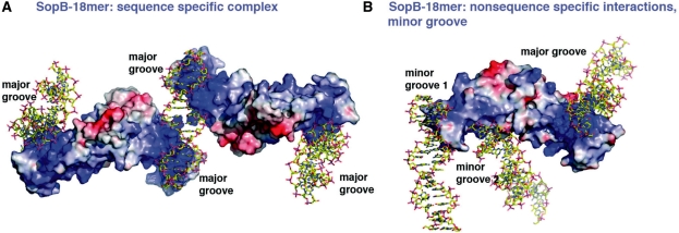 Figure 6.