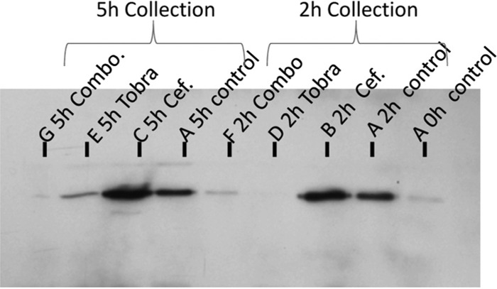 FIG 2