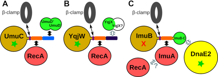 Figure 10.