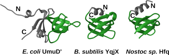 Figure 7.