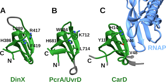 Figure 9.