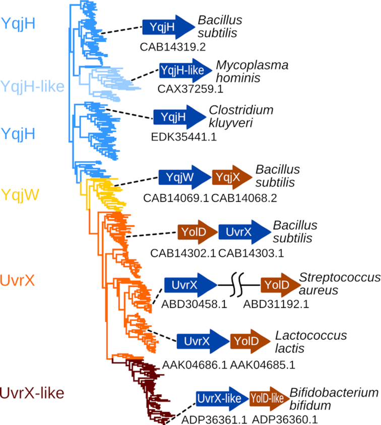 Figure 6.