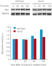 Figure 4—figure supplement 2.