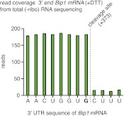 Figure 3—figure supplement 2.