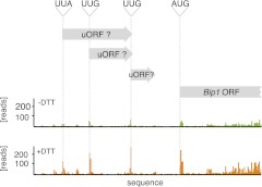 Figure 4—figure supplement 1.