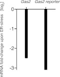 Figure 2—figure supplement 2.