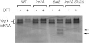 Figure 2—figure supplement 1.