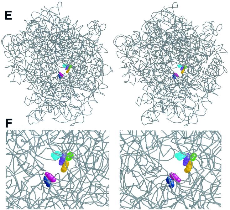 FIG. 4