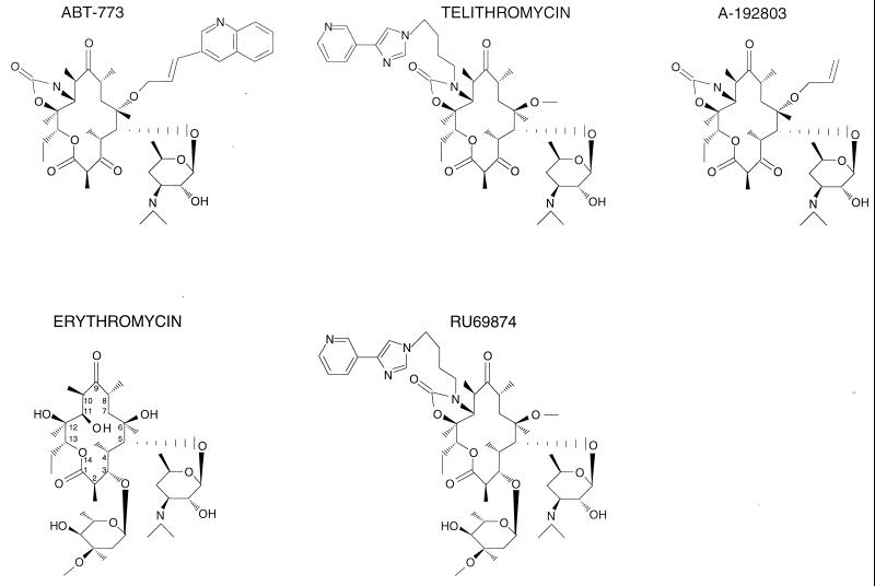 FIG. 1