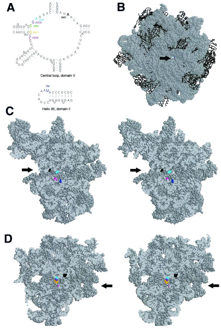 FIG. 4