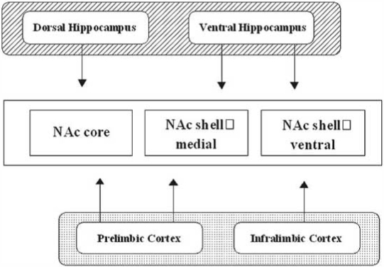 Fig. (2)