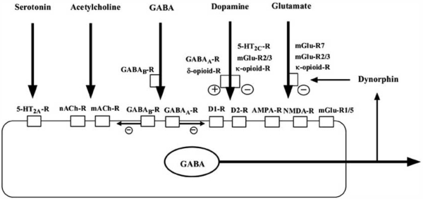 Fig. (3)