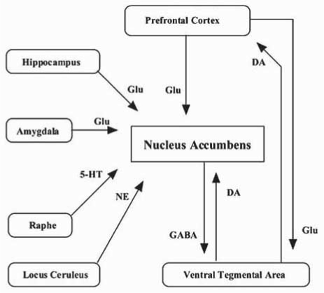 Fig. (1)