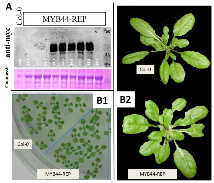 Figure 3.