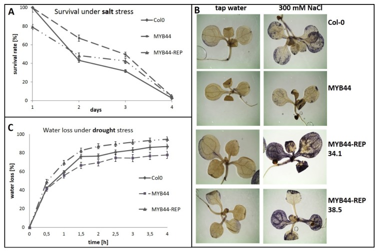 Figure 4.