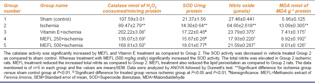 graphic file with name IJPharm-46-617-g003.jpg