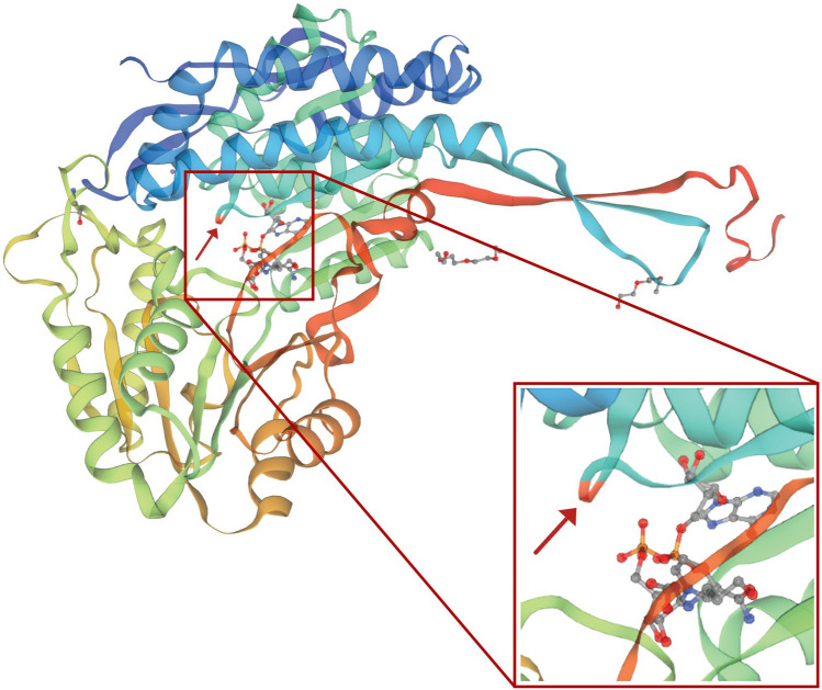 Figure 2
