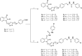 Scheme 2