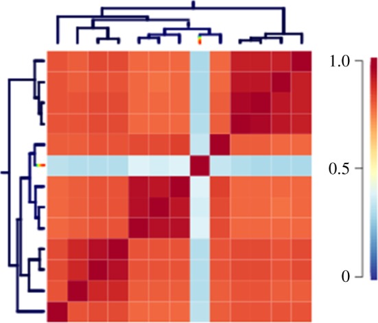 Figure 2.